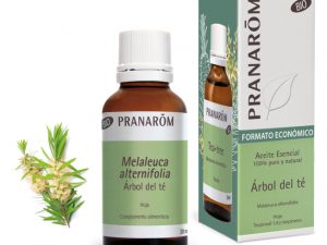 AE Árbol del Té BIO 30 Pranarôm - Mitierra Centro de Naturopatía