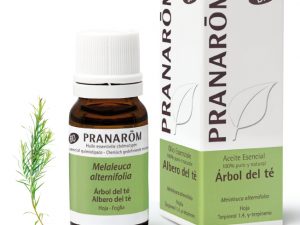 AE Árbol del Té BIO 10 Pranarôm - Mitierra Centro de Naturopatía