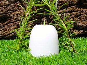 Vela energética Romero - Mitierra Centro de Naturopatía