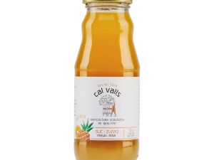 Zumo piña Cal Valls 200mL - Mitierra Centro de Naturopatía